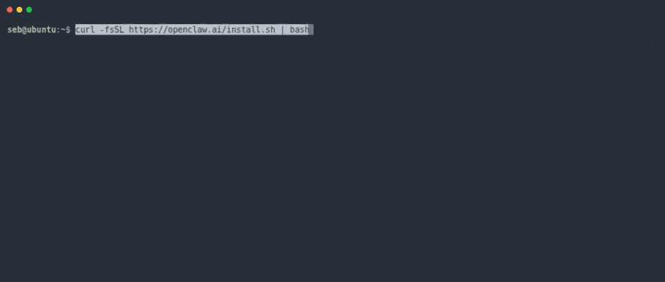 OpenClaw agent setup