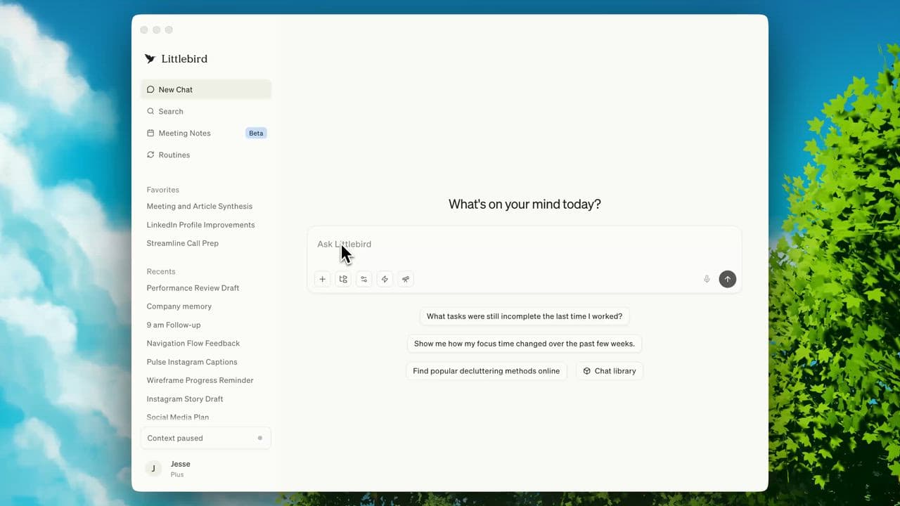 Little Bird desktop assistant interface